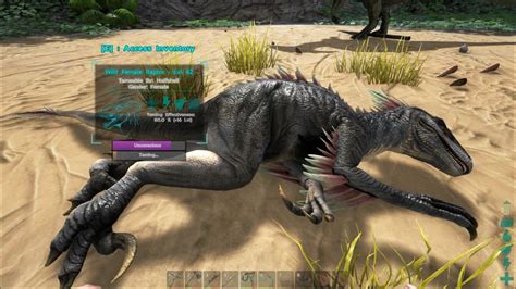 Its wings also give it the ability to glide after leaping. . Ark raptor taming